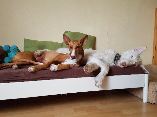 20190714_083813.jpg