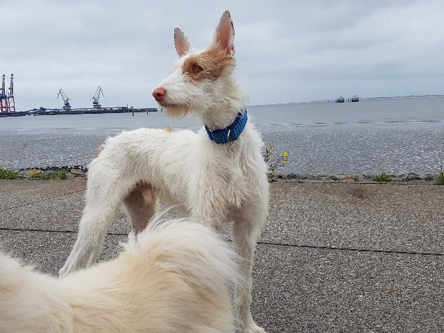 20190715_184519.jpg