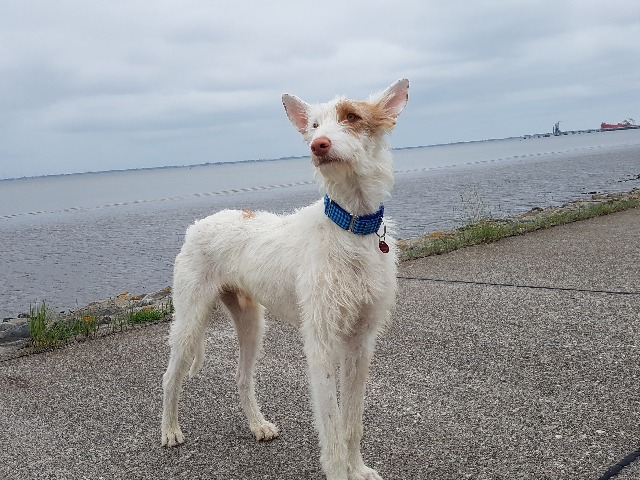 20190715_184924.jpg
