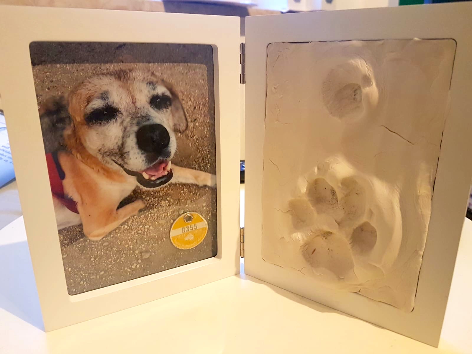 BELLA.jpg