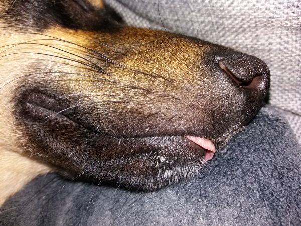 20190701_183006.jpg