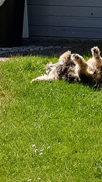 20190424_135149.jpg