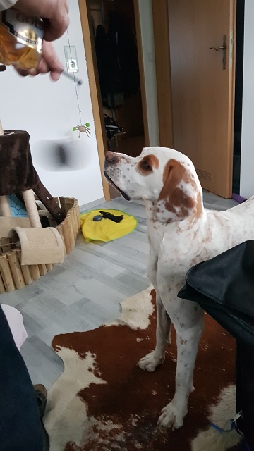 20190506_203852.jpg