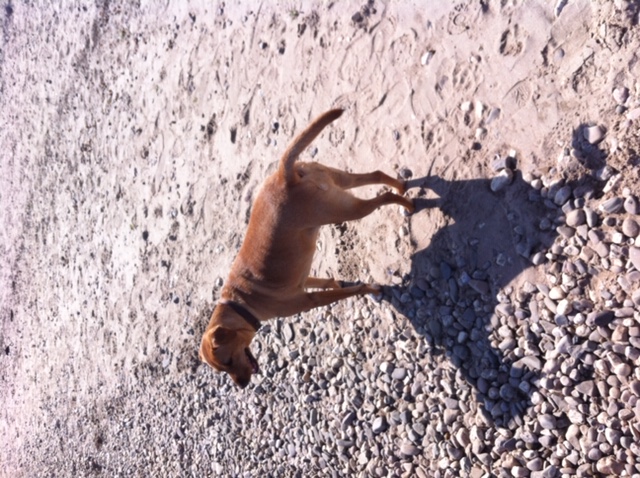 Foto9.jpg