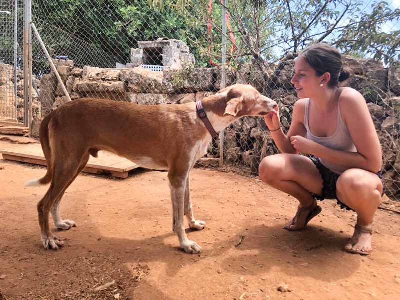 SIMBA_0d87a8f2-f249-4dec-9630-929ebd96eb8d.jpg