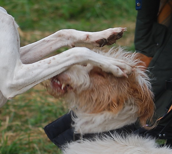 DSC_0701.jpg