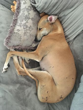 IMG-20190819-WA0010.jpg
