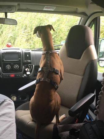 IMG-20190819-WA0014.jpg