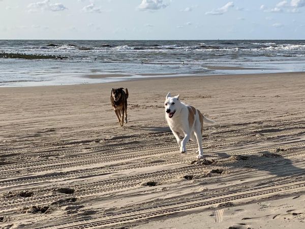 IMG-20190821-WA0008.jpg