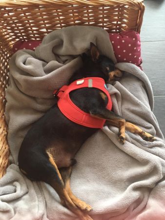 IMG-20190816-WA0048.jpg