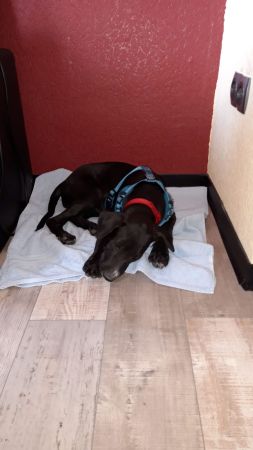 IMG-20190816-WA0034.jpg