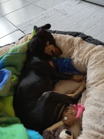 IMG-20190818-WA0017.jpg