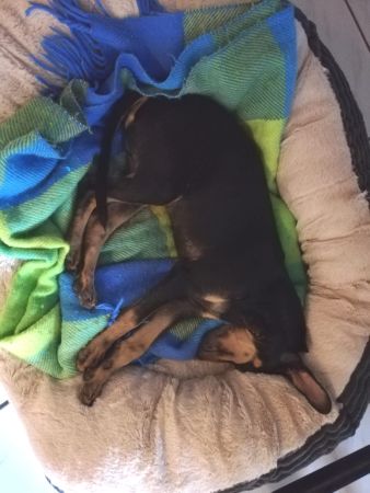 IMG-20190816-WA0045.jpg
