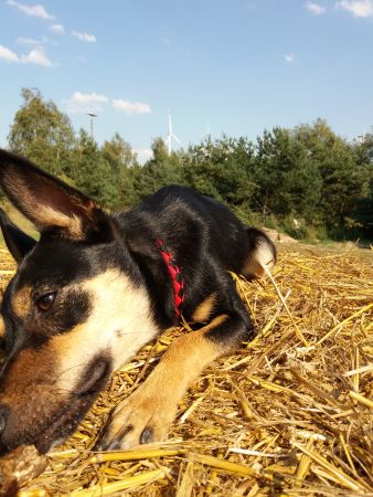 20190831_154347.jpg