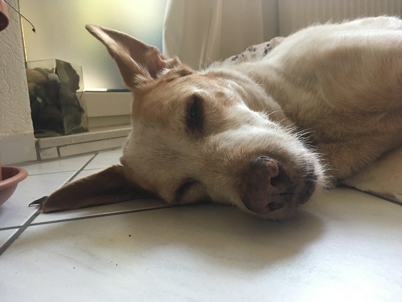 Foto 25.08.19, 17 35 55.jpg