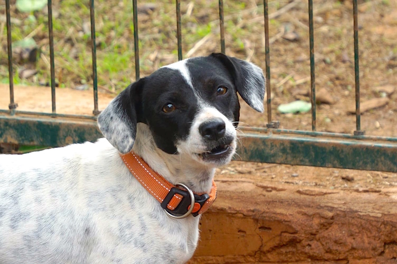 IMG_9170 - Arbeitskopie 2.JPG