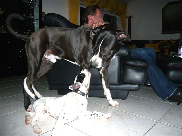P1000459.JPG