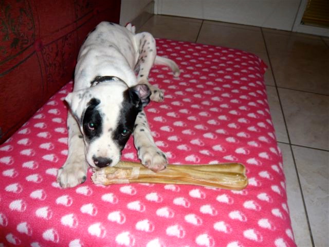 P1000539 (2).JPG