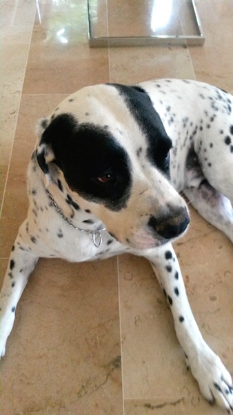 20140815_160418.jpg