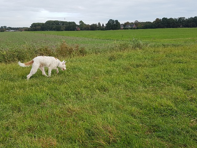 20190924_173348.jpg