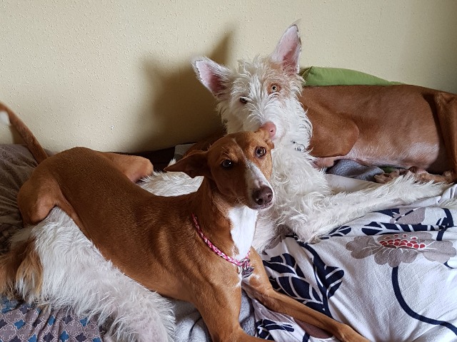 IMG-20190928-WA0012.jpg