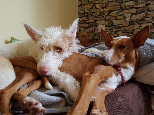 20190928_081423.jpg