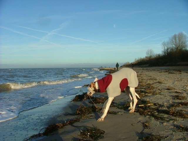 DSCF0125 (HaM).JPG