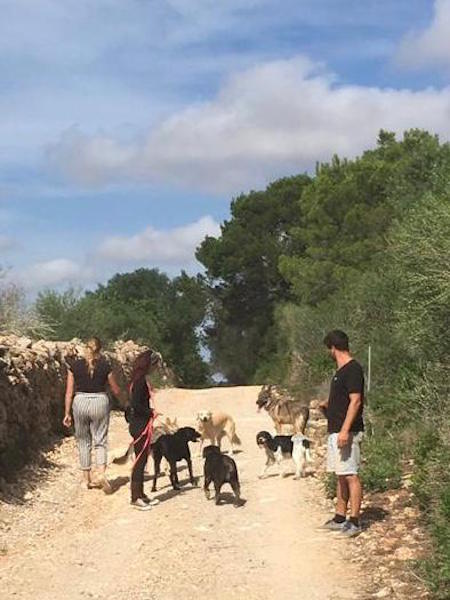 FINCA9.jpg
