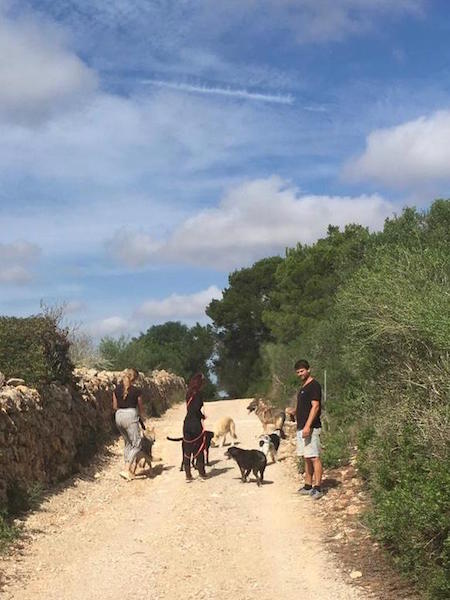 FINCA8 .jpg