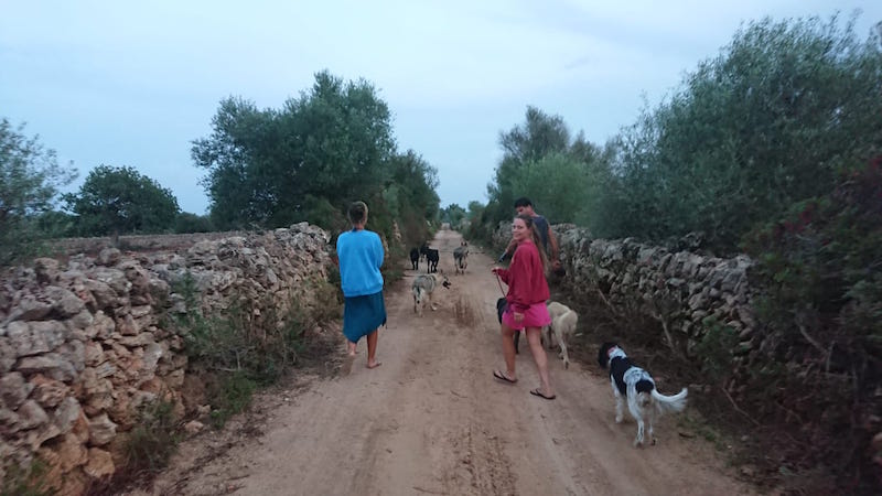 Finca2.jpg