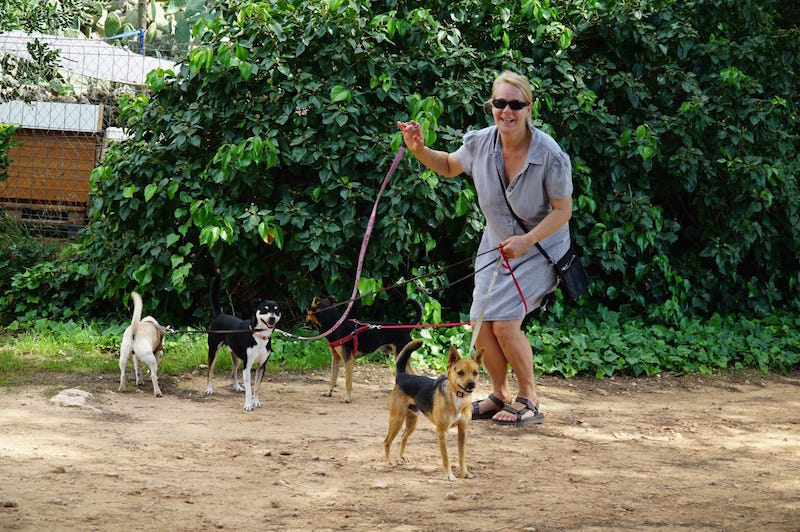FINCA7.jpg