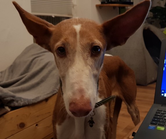 20191021_214701.jpg