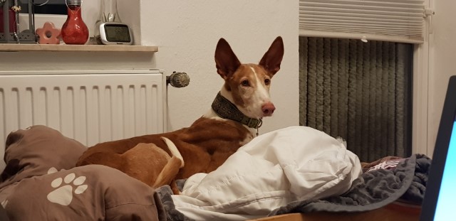 20191021_223112.jpg