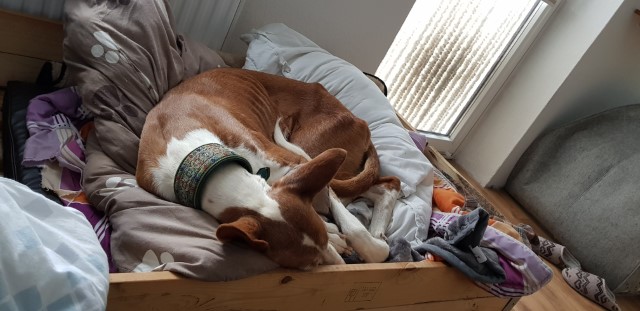 20191022_094931.jpg