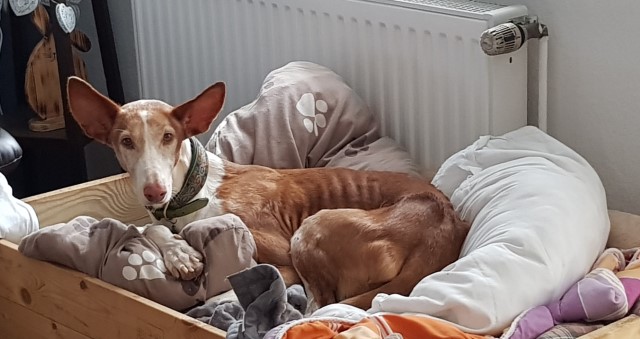 20191022_101049.jpg