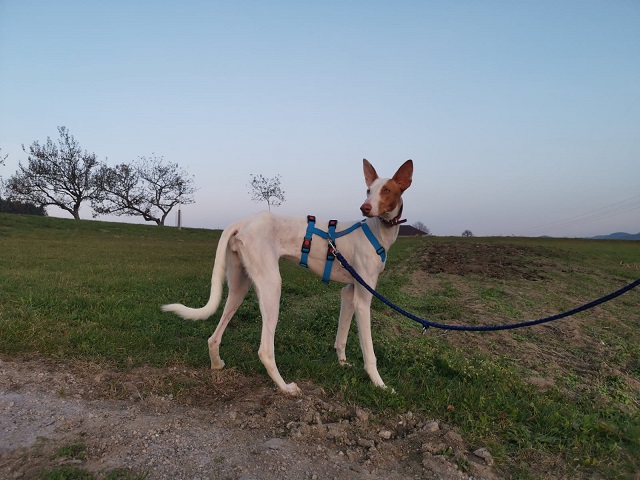 IMG-20191024-WA0032.jpg