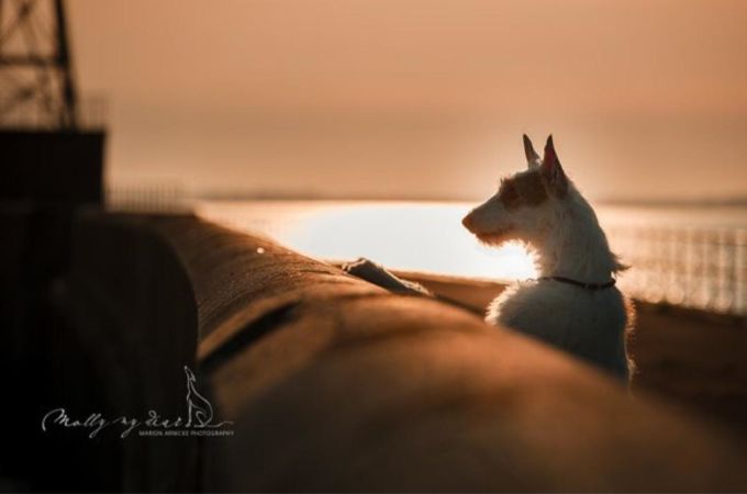 mrrrr.jpg