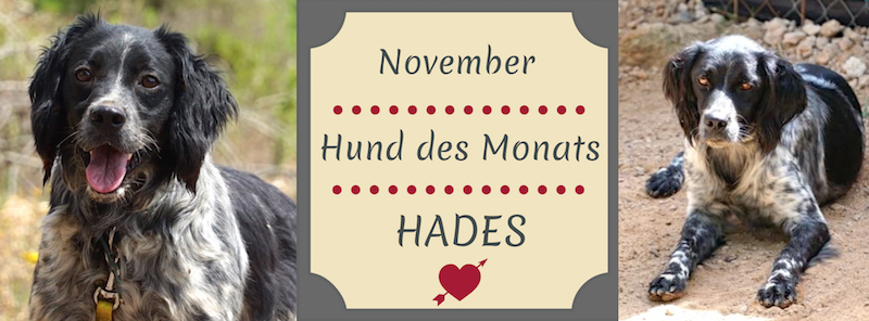 HADES_neu.png