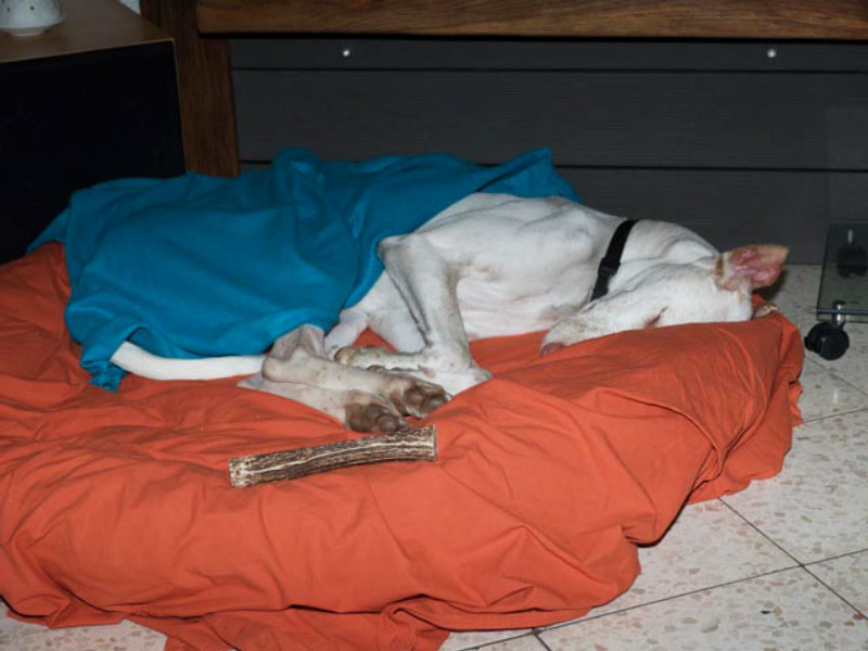 Terence_PA063715.jpg