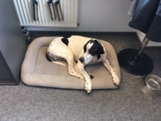 Hannes Büro-Azubi.jpg