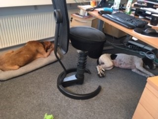 Bald Feierabend.jpg
