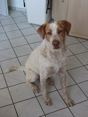 blanca32.jpg