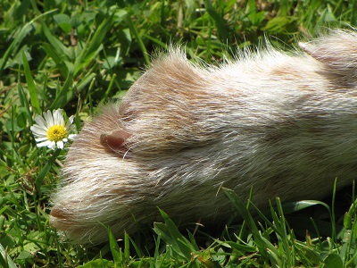 blanca39.jpg