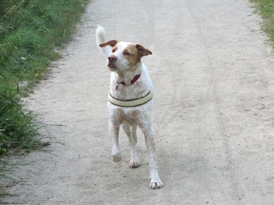 blanca43.jpg