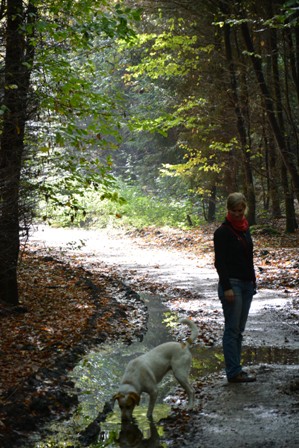 DSC_0544.JPG
