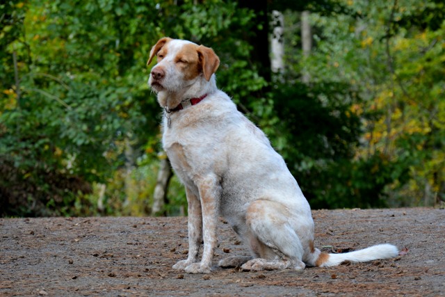 DSC_0596.JPG
