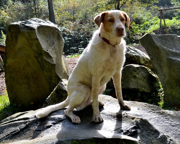 DSC_0632.JPG