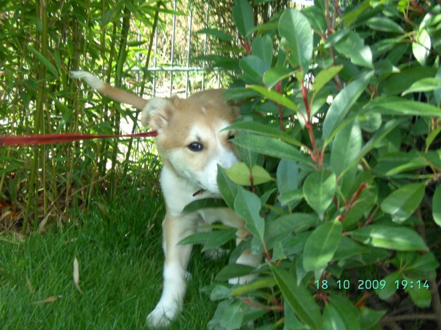 BILD1841.JPG