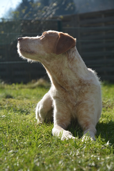 DSC_0489_forum.jpg