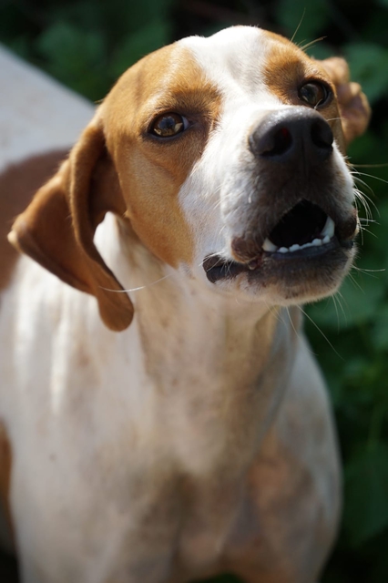 LASITA 7.jpg